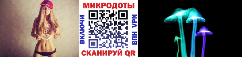 цена   Шацк  Галлюциногенные грибы Psilocybine cubensis 